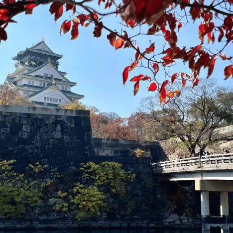Osaka Amazing Pass: Is It Worth It? Complete Guide