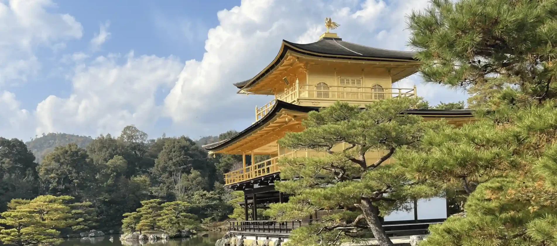 things to do in kyoto japan