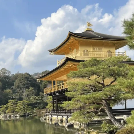 Ultimate Ultra Miami Guide: Hotels, Transport &  Tips