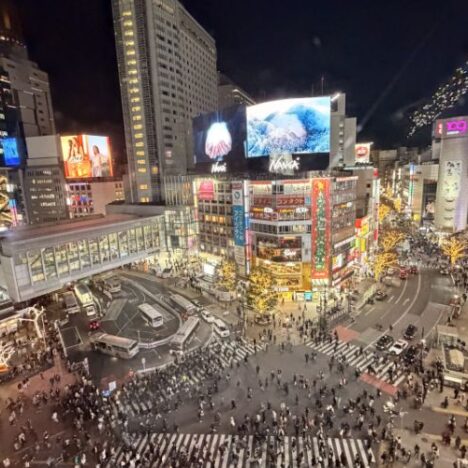 How to Spend the Perfect Night in Kabukicho, Tokyo