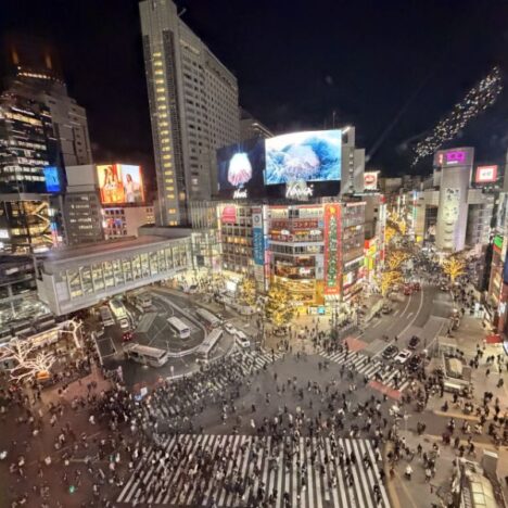 How to Spend the Perfect Night in Kabukicho, Tokyo
